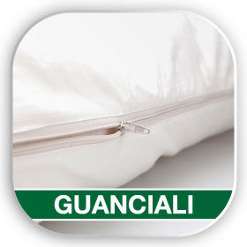 2-Guanciali