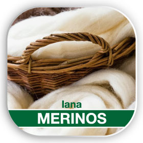 2-Merinos1